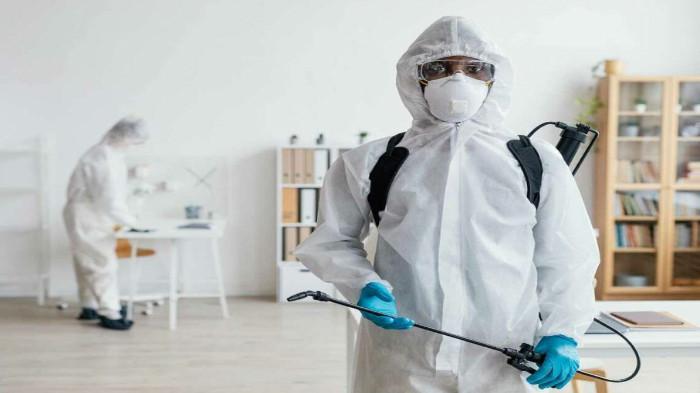 5 Cara Memilih Jasa Fumigasi yang Profesional dan Terpercaya