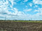 6 Penyebab Harga Tanah Semakin Mahal dari Tahun ke Tahun